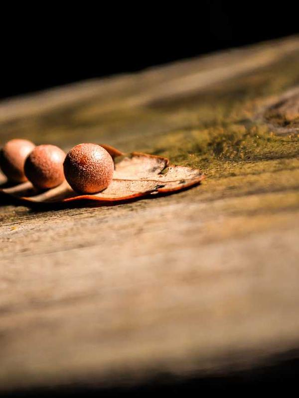 Juice Simple Product 1