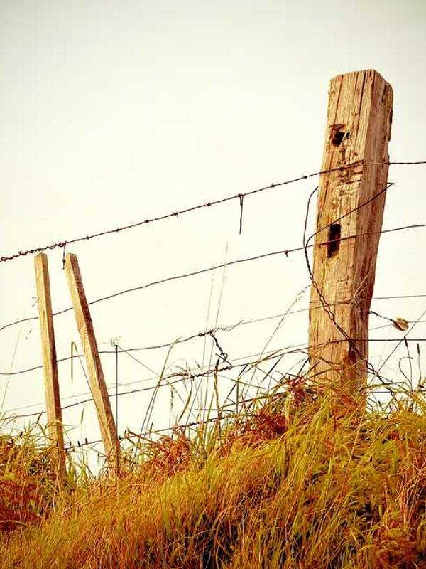 Juice Simple Product 2