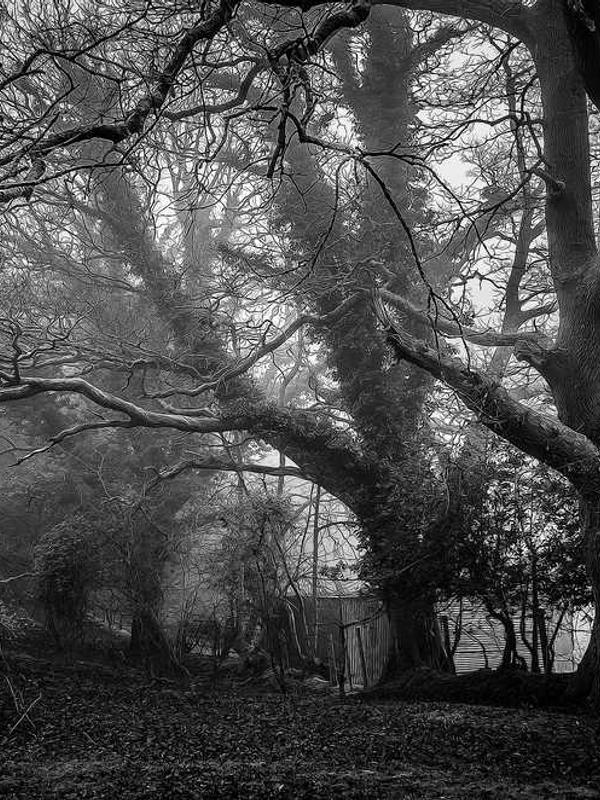 Juice Simple Product 3