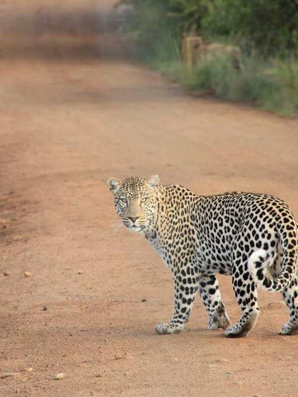 Juice Simple Product 1