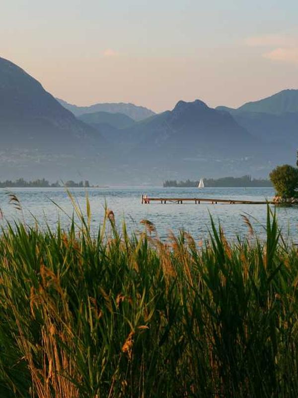 Juice Variable Product 1